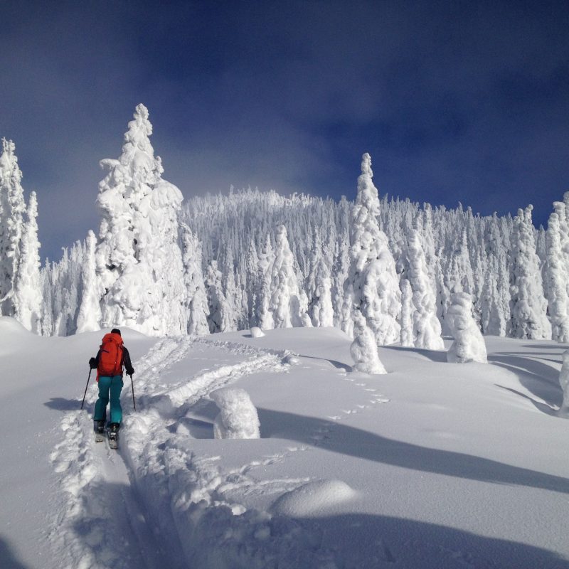 Ski Touring Fernie Ski Touring Fernie