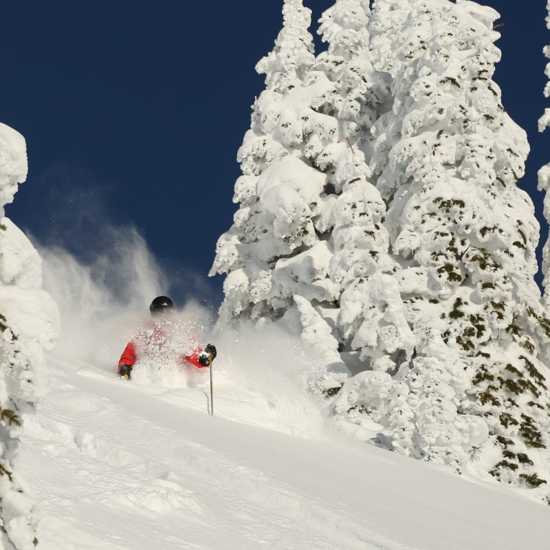 Powder Skiing Fernie Powder Skiing